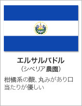 エルサルバドル（シベリア農園）