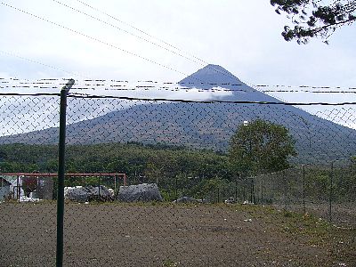 農園のある山